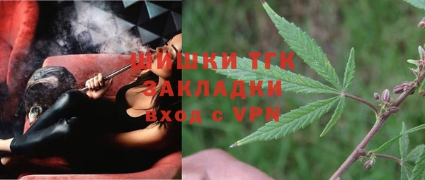 крисы Абаза