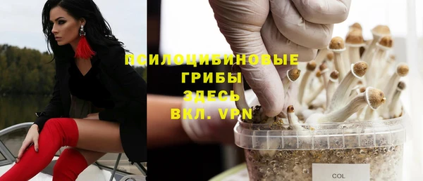 крисы Абаза