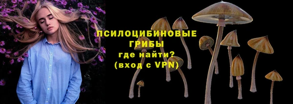крисы Абаза