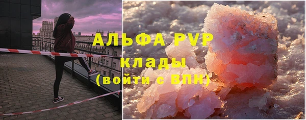 крисы Абаза