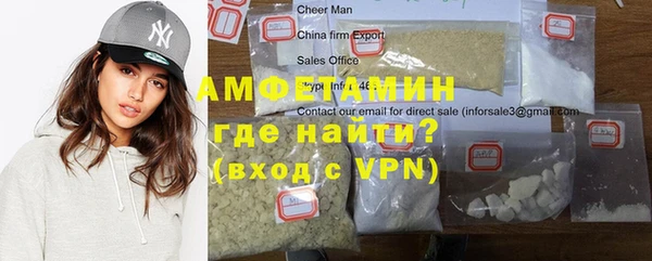 крисы Абаза