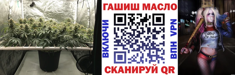 ТГК концентрат  МЕГА ONION  Калининград 